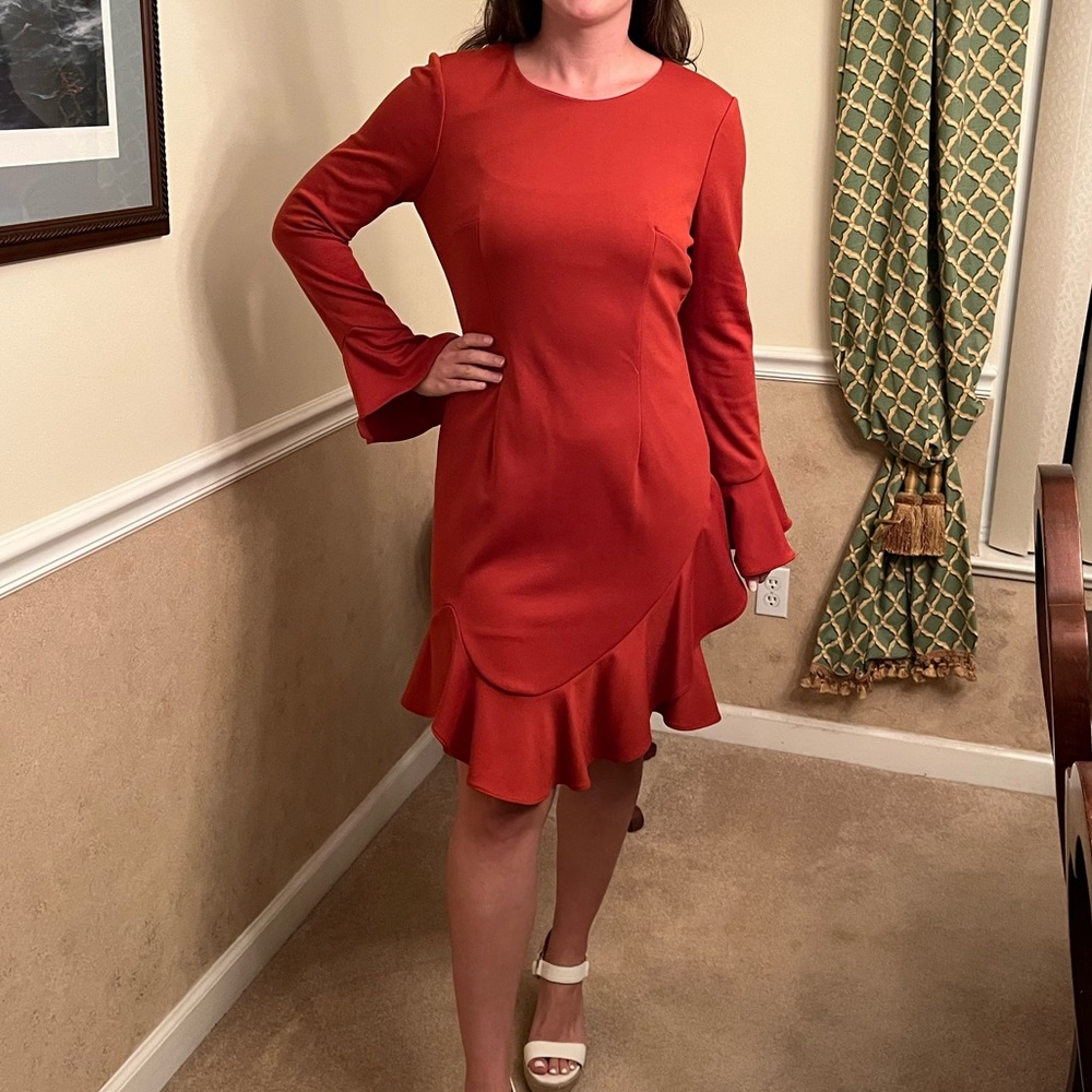 Gianni Bini Elegant Burnt Orange Ruffle Hem Long Sleeve Dress | Size 8